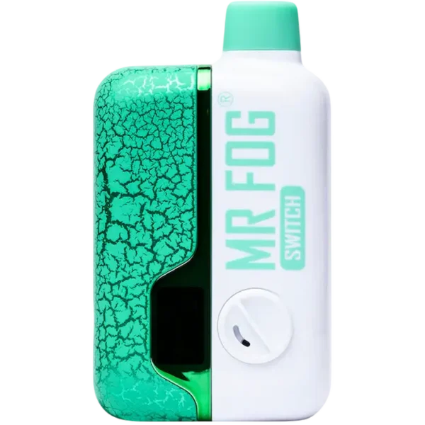 MR FOG switch Gum mint